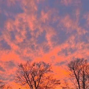 Meet your Posher, Ameri